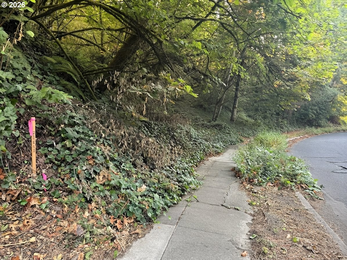 Southwest Fairview Boulevard Portland, OR 97205 - Photo 5 of 16 Gallery Image 5