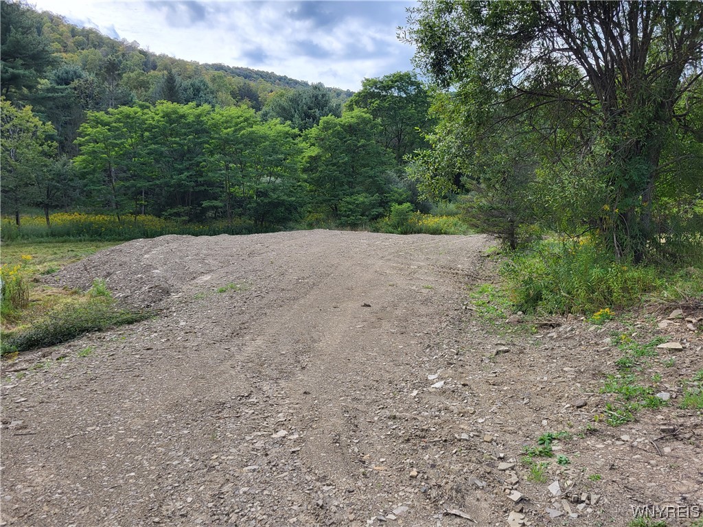 Lot A Porter Hollow Road Great Valley, NY 14741 - Photo 1 of 13