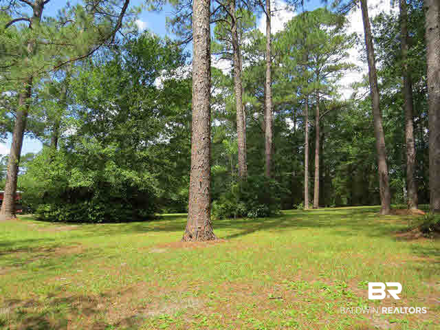 9970 McGee Street Elberta, AL 36530 - Photo 33 of 40 yard
