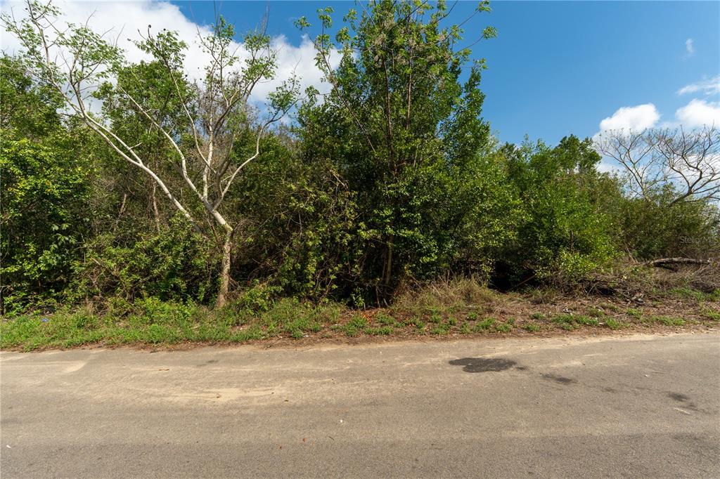 0 Tom Sheffield Road Frostproof, FL 33843 - Photo 16 of 23 a view of a yard with plants and trees