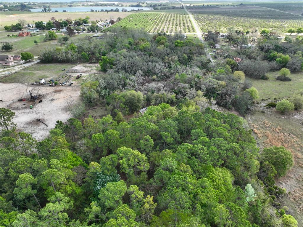 0 Tom Sheffield Road Frostproof, FL 33843 - Photo 4 of 23 an aerial view of residential houses with outdoor space and trees