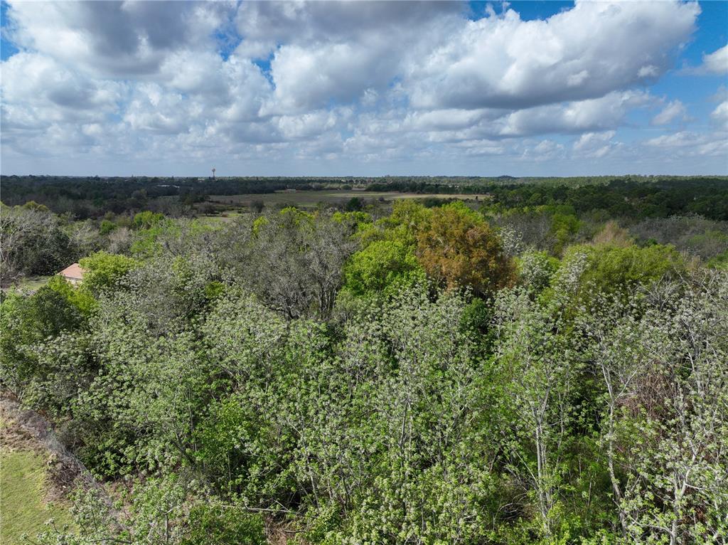 0 Tom Sheffield Road Frostproof, FL 33843 - Photo 5 of 23 a view of a yard with lots of green space