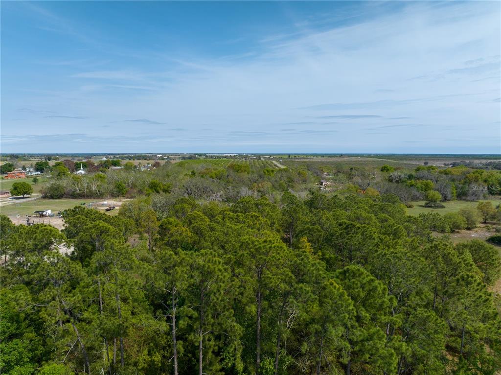 0 Tom Sheffield Road Frostproof, FL 33843 - Photo 7 of 23 a view of a field of grass and trees