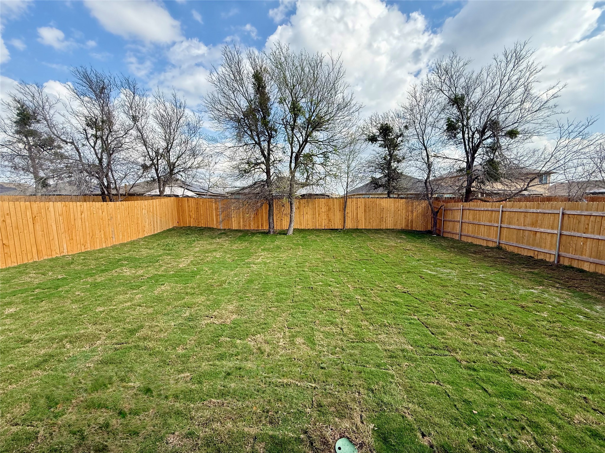 13605 Barn Chime Street Elgin, TX 78621 - Photo 18 of 20 a view of yard with outdoor space