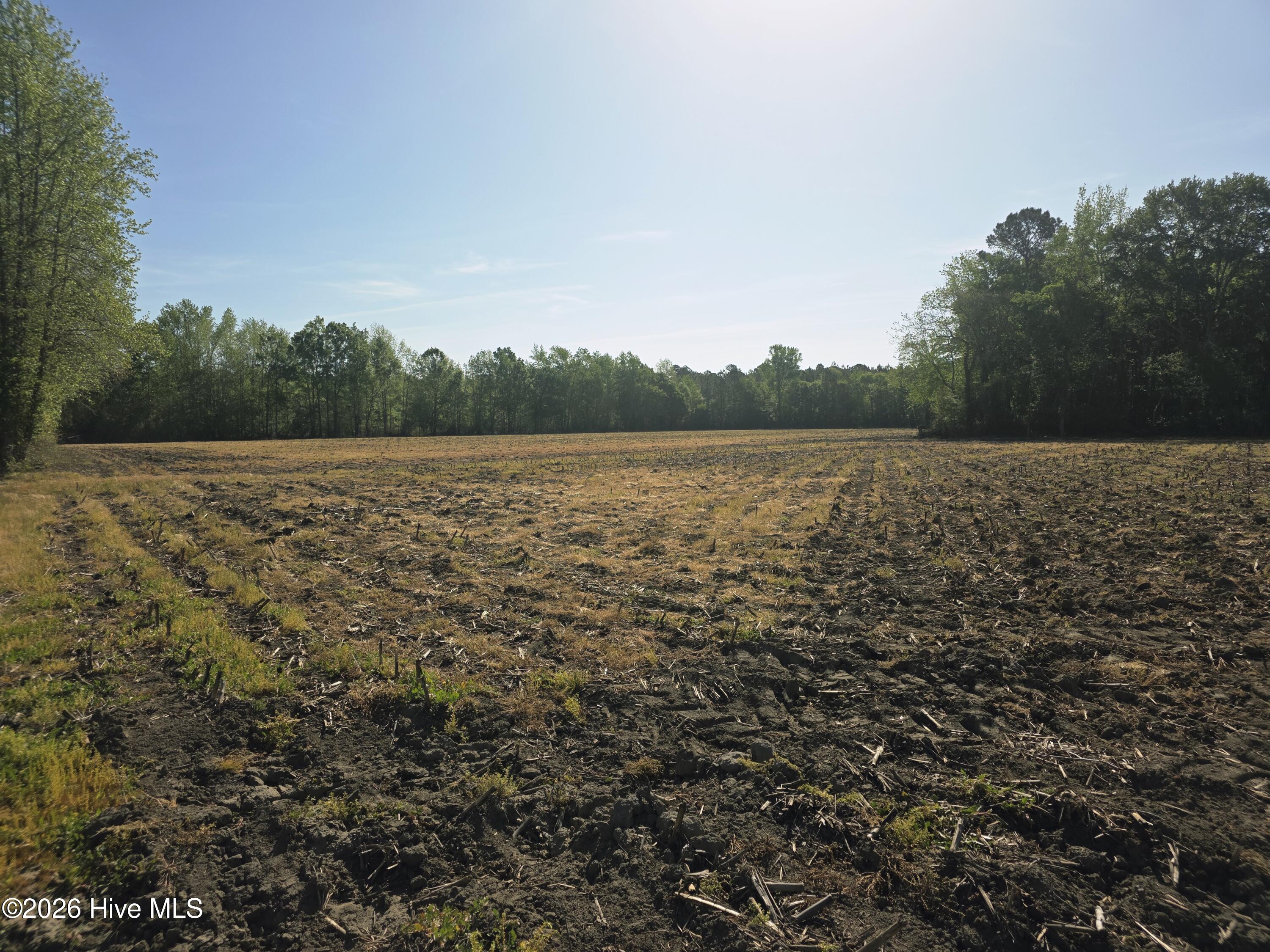 3917 Gaddy Road Fairmont, NC 28340 - Photo 4 of 7 40184