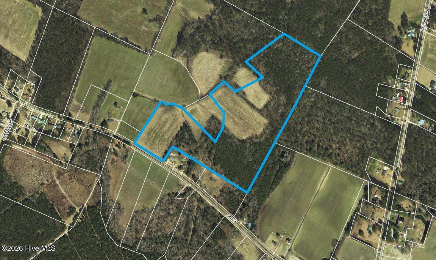 3917 Gaddy Road Fairmont, NC 28340 - Photo 6 of 7 3917GaddyRd_aerial