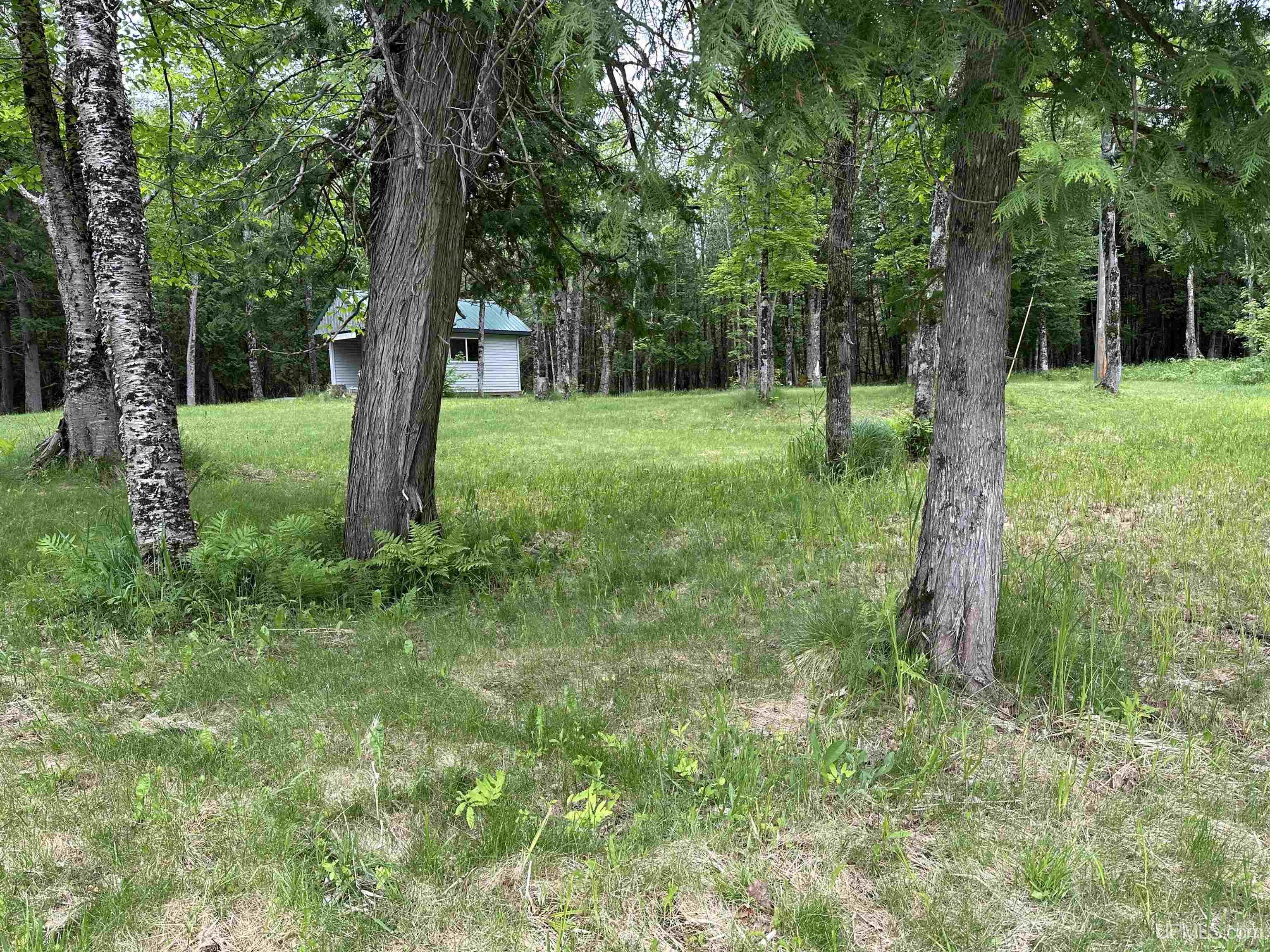 6 Camp 6 Road Ironwood, MI 49938 - Photo 46 of 50
