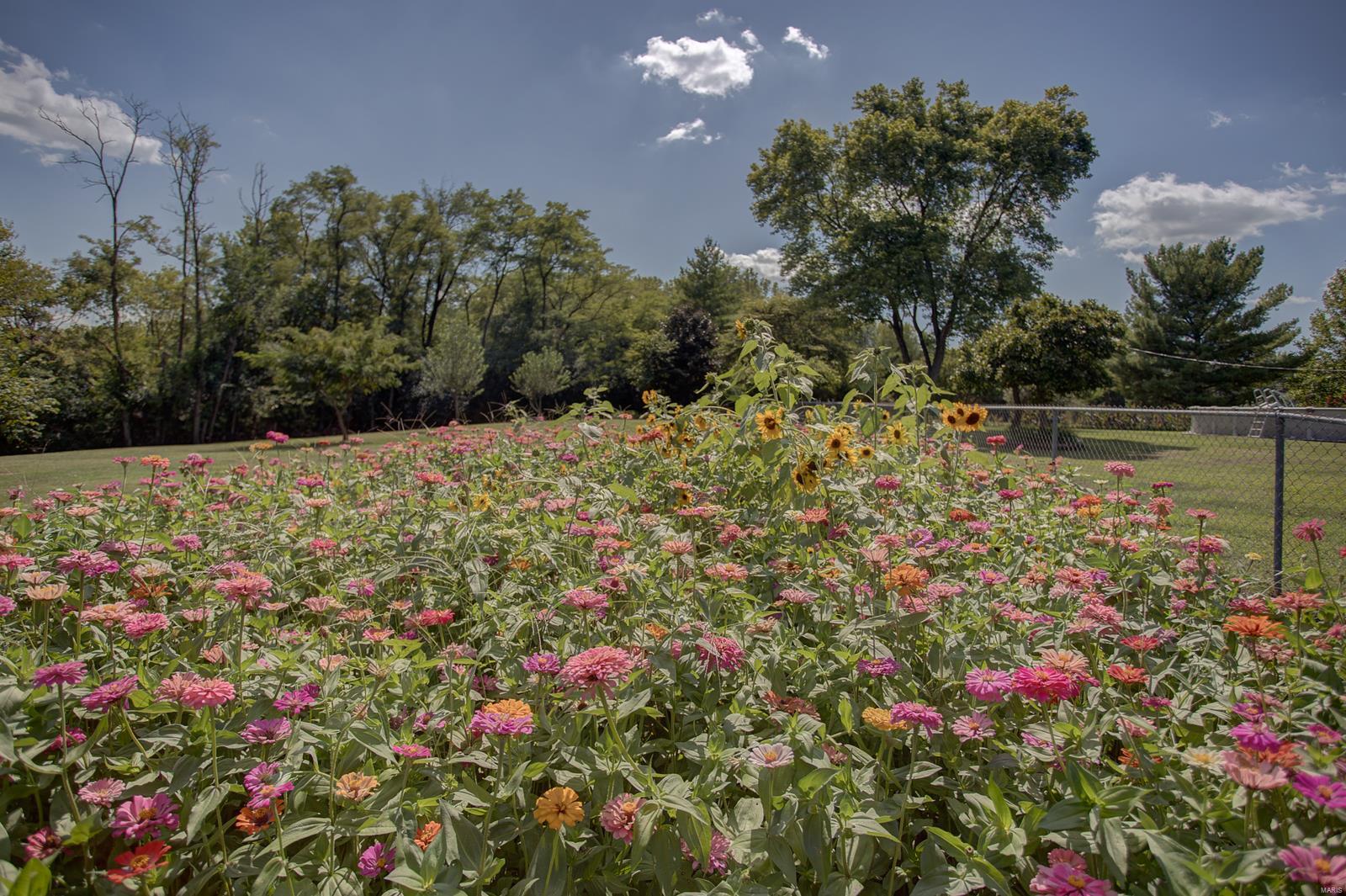 100 Pecan Lane Belleville, IL 62223 - Photo 65 of 85