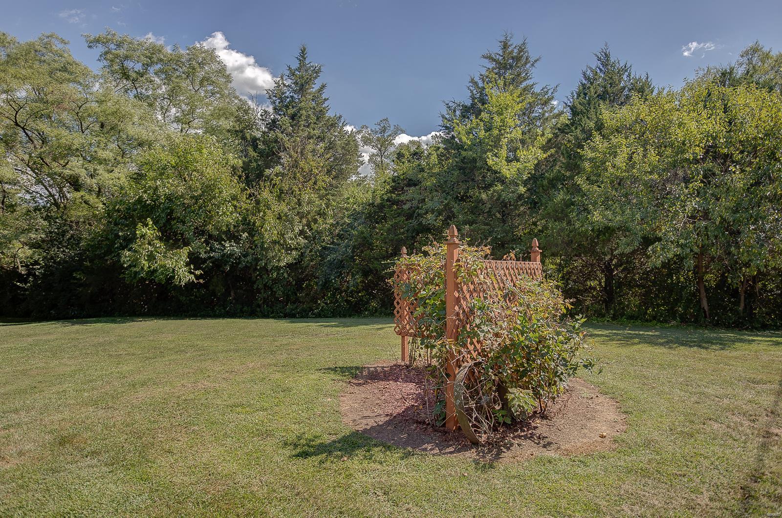 100 Pecan Lane Belleville, IL 62223 - Photo 70 of 85