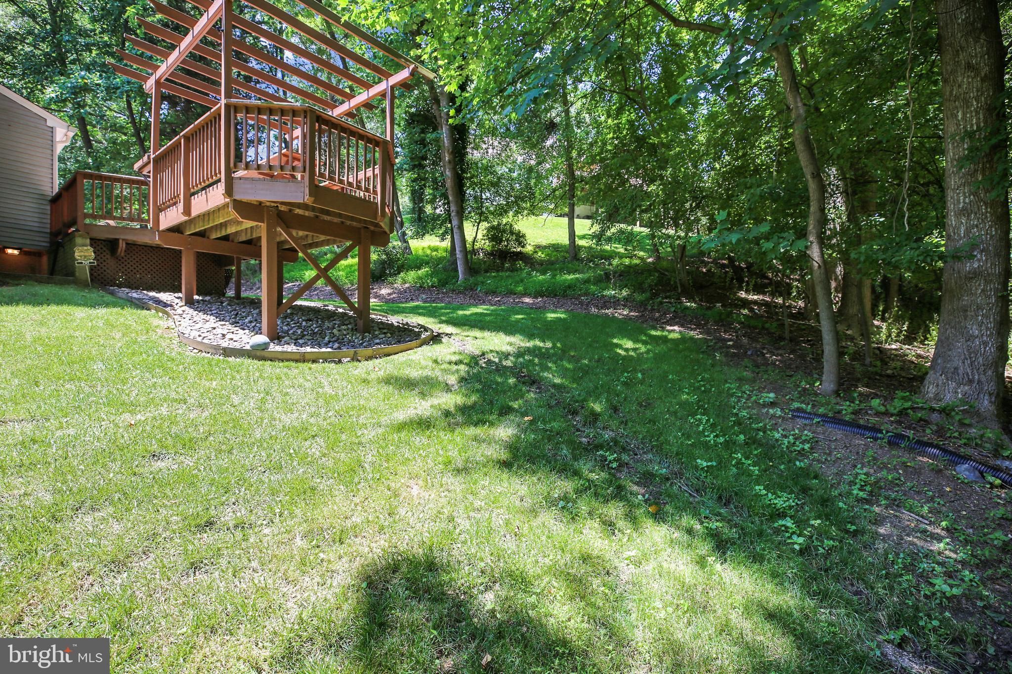 701 Kersey Road Silver Spring, MD 20902 - Photo 63 of 66 Gallery Image 63