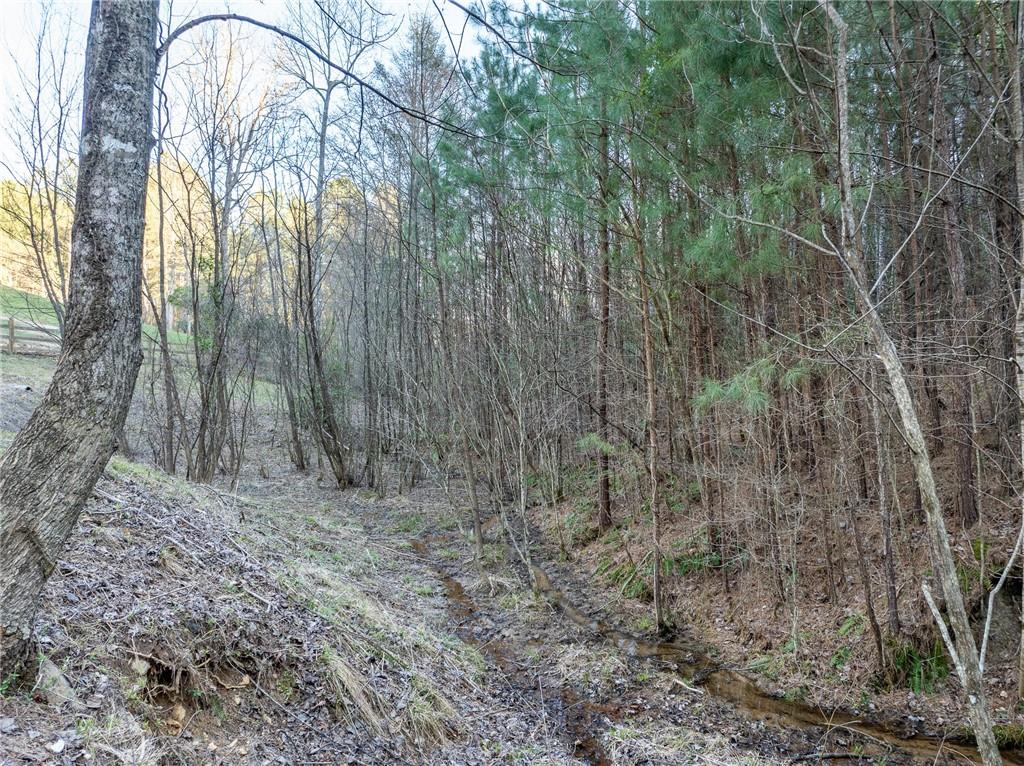 415 Kestrel Rdg Circle Murphy, NC 28906 - Photo 86 of 104 a backyard of a house with lots of green space