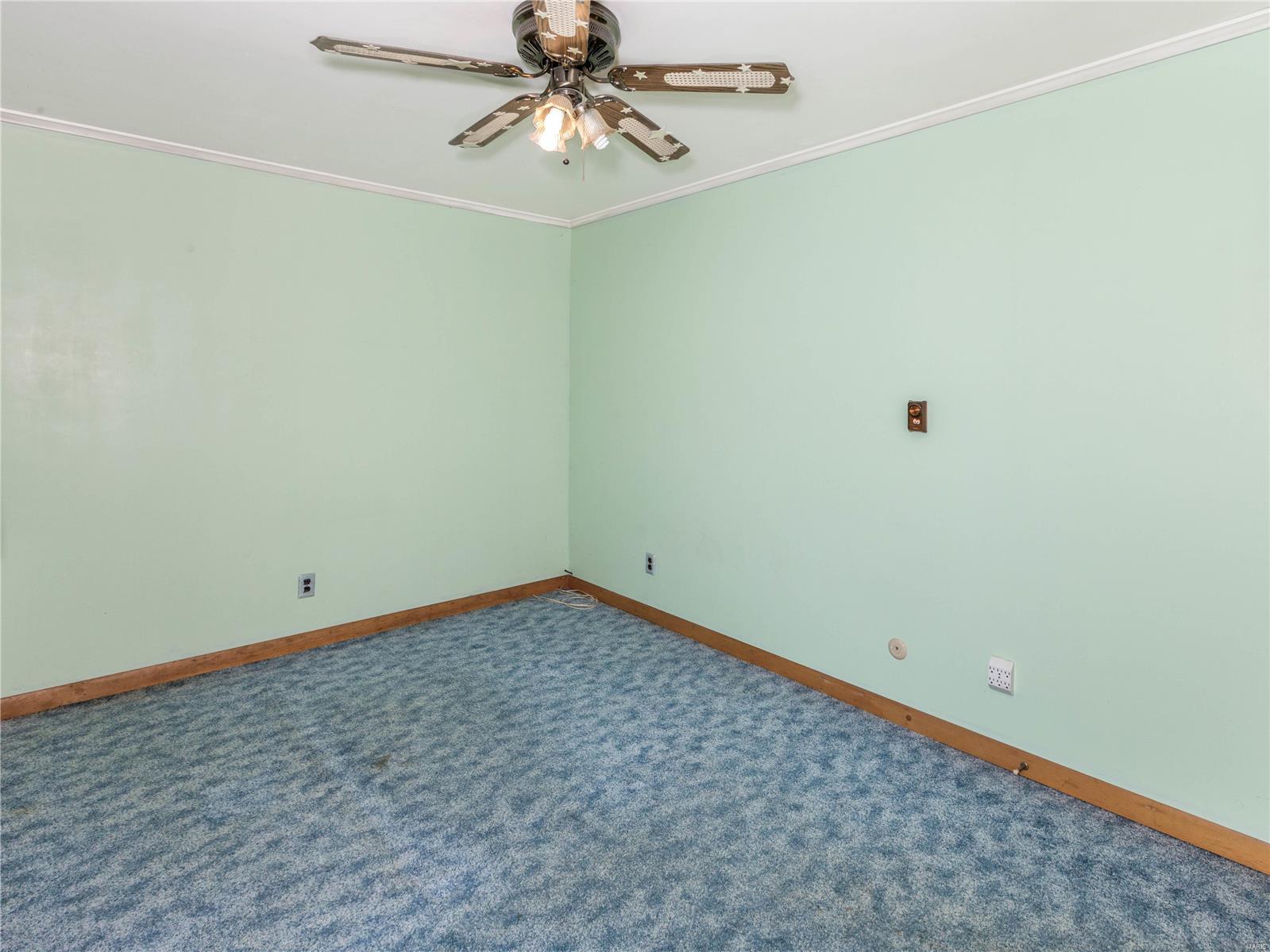 448 Ohio Avenue South Roxana, IL 62087 - Photo 26 of 46 Gallery Image 26