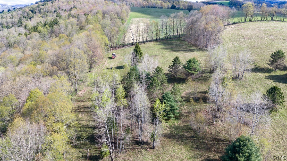 7779 South Hamilton Road Hamilton, NY 13332 - Photo 13 of 44