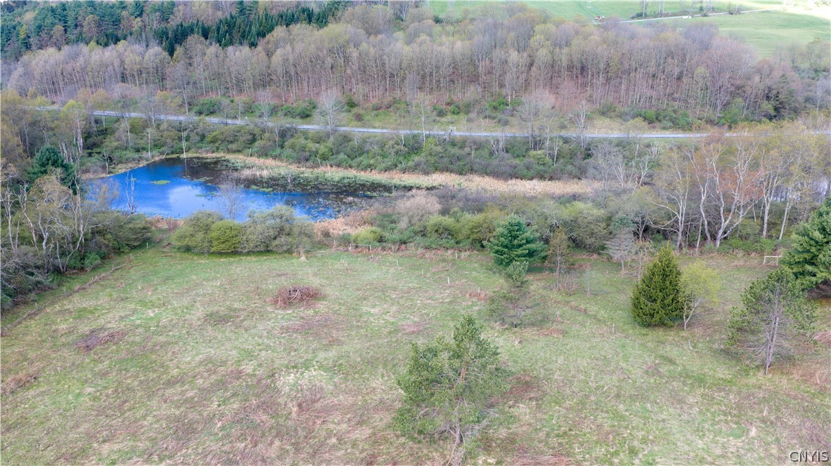 7779 South Hamilton Road Hamilton, NY 13332 - Photo 14 of 44