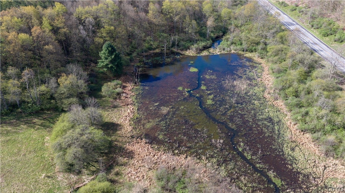 7779 South Hamilton Road Hamilton, NY 13332 - Photo 15 of 44