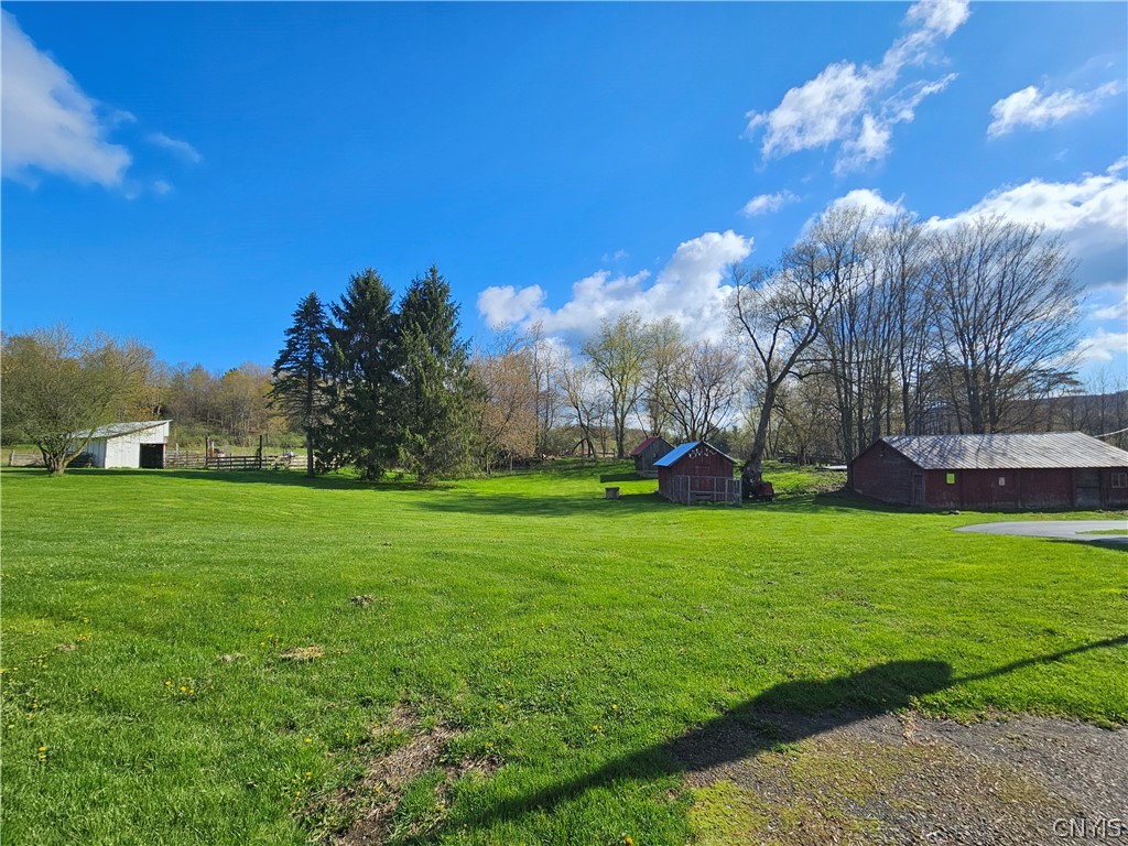7779 South Hamilton Road Hamilton, NY 13332 - Photo 3 of 44 2 Bay Garage, Corral, Dog House, Play house (in ba