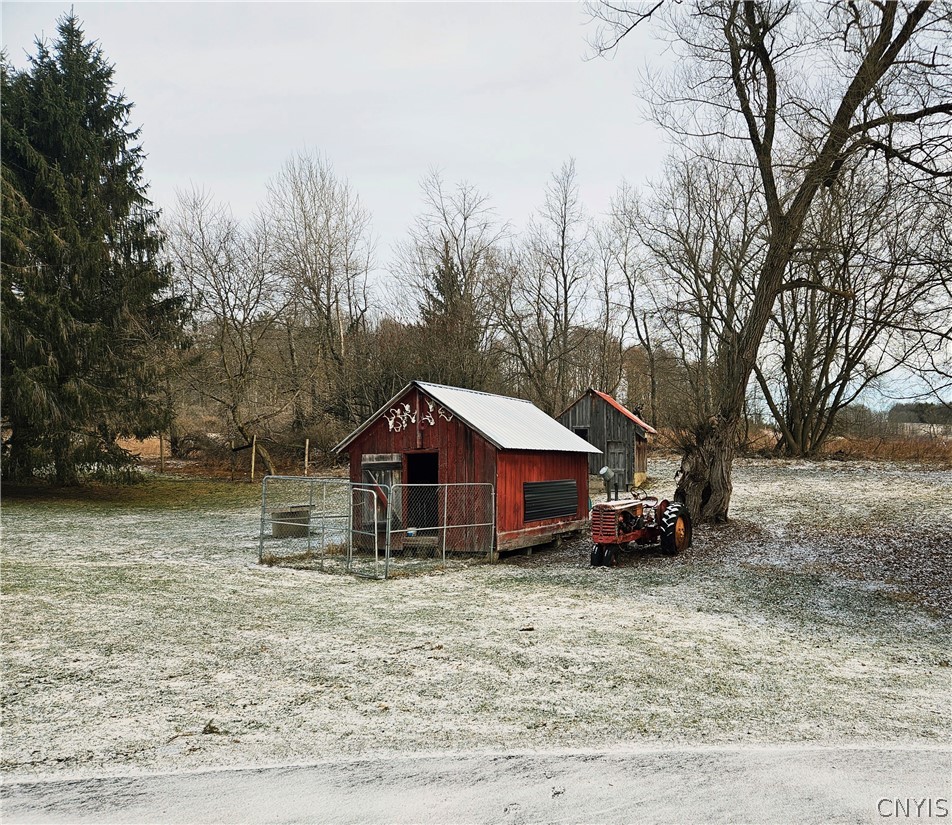 7779 South Hamilton Road Hamilton, NY 13332 - Photo 7 of 49 Dog House