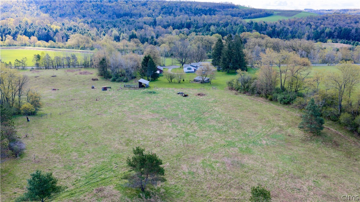 7779 South Hamilton Road Hamilton, NY 13332 - Photo 9 of 44