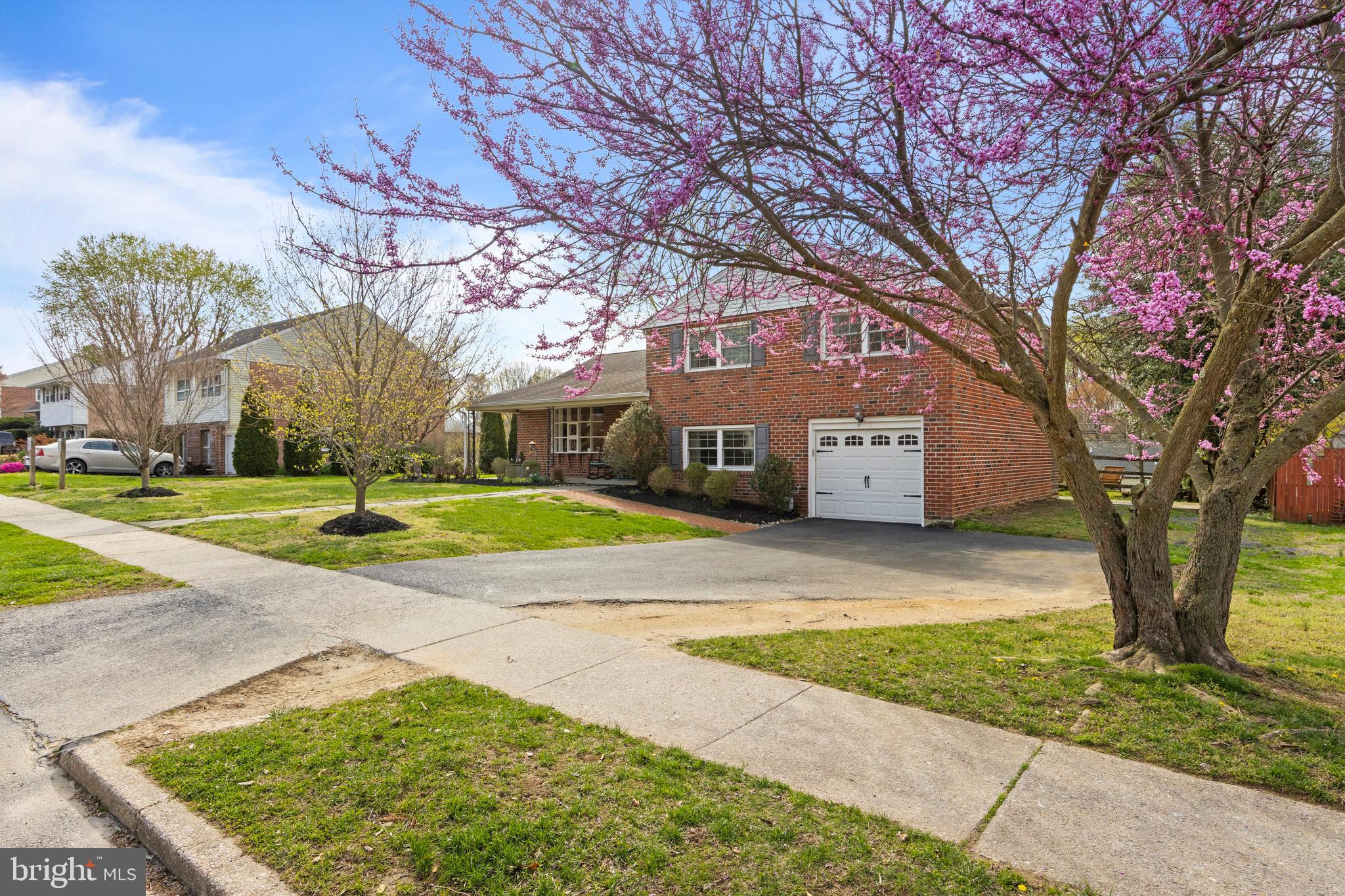 502 Ridge Avenue Kennett Square, PA 19348 - Photo 60 of 60 a view of a large trees with a big yard