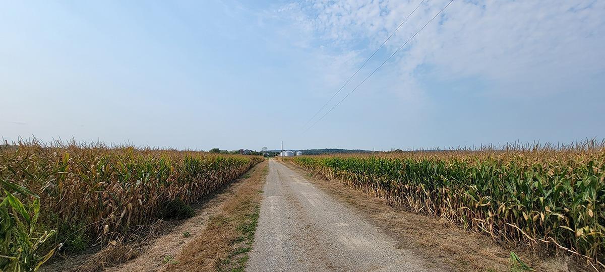 0 Co Road Frankfort, OH 45628 - Photo 2 of 35