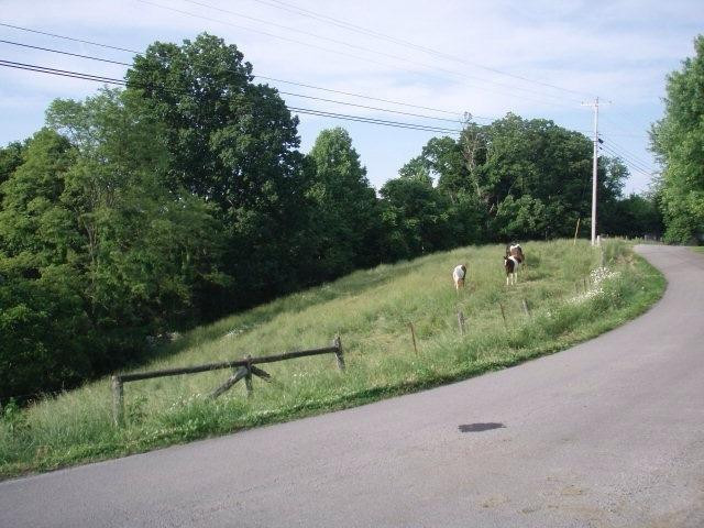 1184 Upper Dry Fork Road McKee, KY 40447 - Photo 7 of 32 Photo 7