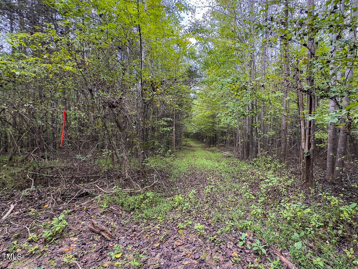 Lot-7-00 Wilson Road Providence, NC 27315 - Photo 19 of 41 Caswell Co. NC 10.03-Backwoods-Lot 7-19