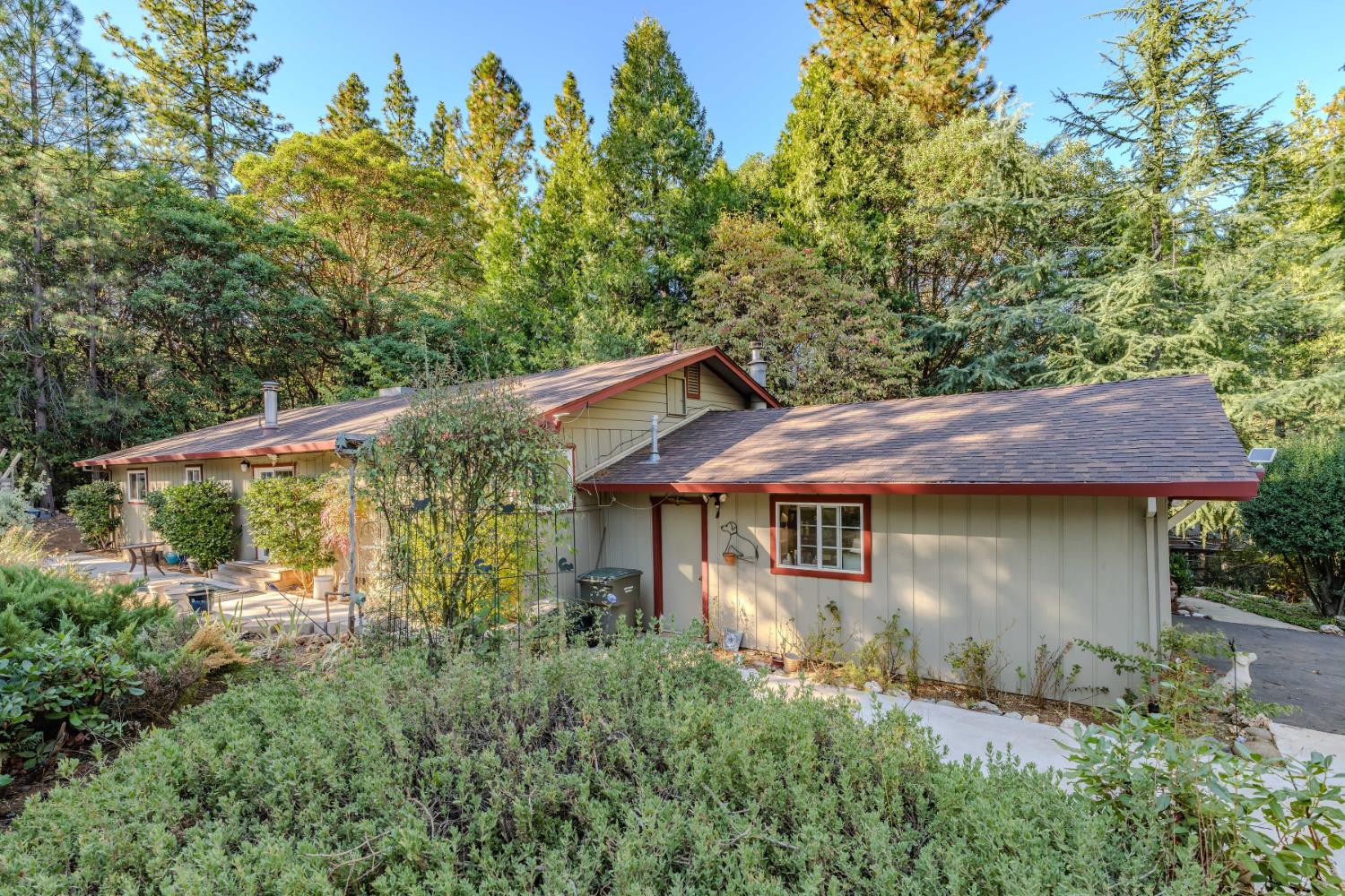 23420 Robin Road Pioneer, CA 95666 - Photo 4 of 43 a backyard of a house with large trees and wooden fence