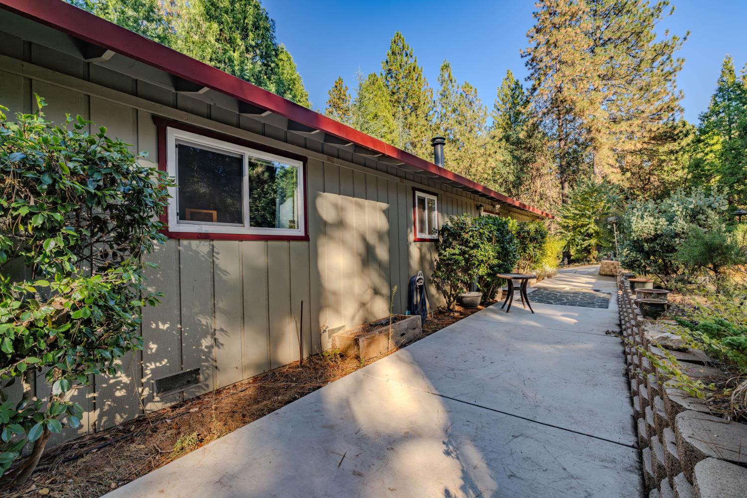 23420 Robin Road Pioneer, CA 95666 - Photo 8 of 43 a view of a backyard