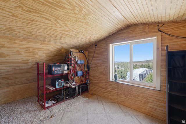 2345 East Frampton Hts Road, Unit 12 Fillmore, UT 84631 - Photo 14 of 31 Plywood-paneled walls and ceiling, carpeted flooring, and a white-framed window