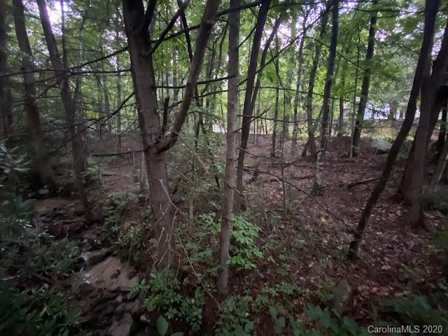 0 Quail Ridge Road, Unit 147 & 148 Lake Lure, NC 28746 - Photo 14 of 29 Gallery Image 14