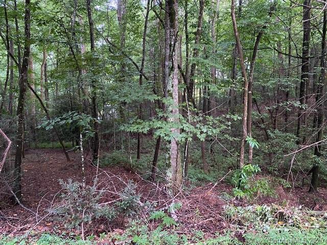 0 Quail Ridge Road, Unit 147 & 148 Lake Lure, NC 28746 - Photo 3 of 29 Gallery Image 3