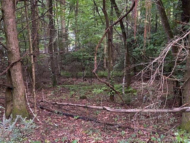 0 Quail Ridge Road, Unit 147 & 148 Lake Lure, NC 28746 - Photo 8 of 29 Gallery Image 8