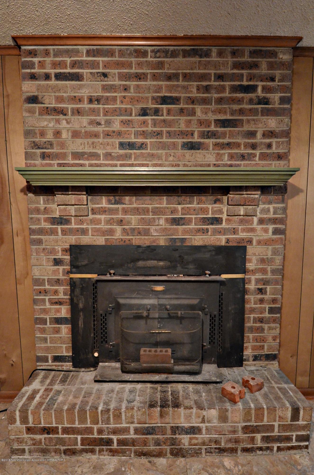 4812 Pleasant Hill Road Nesbit, MS 38651 - Photo 8 of 18 Fireplace