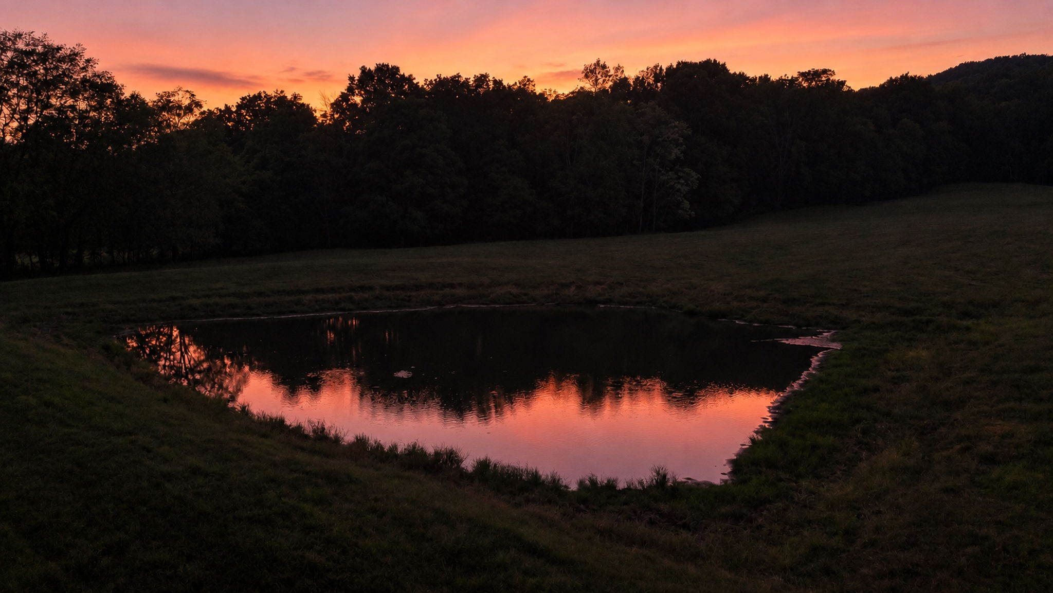 3466 Foster Chapel Road Williamsport, TN 38487 - Photo 10 of 100 Gallery Image 10