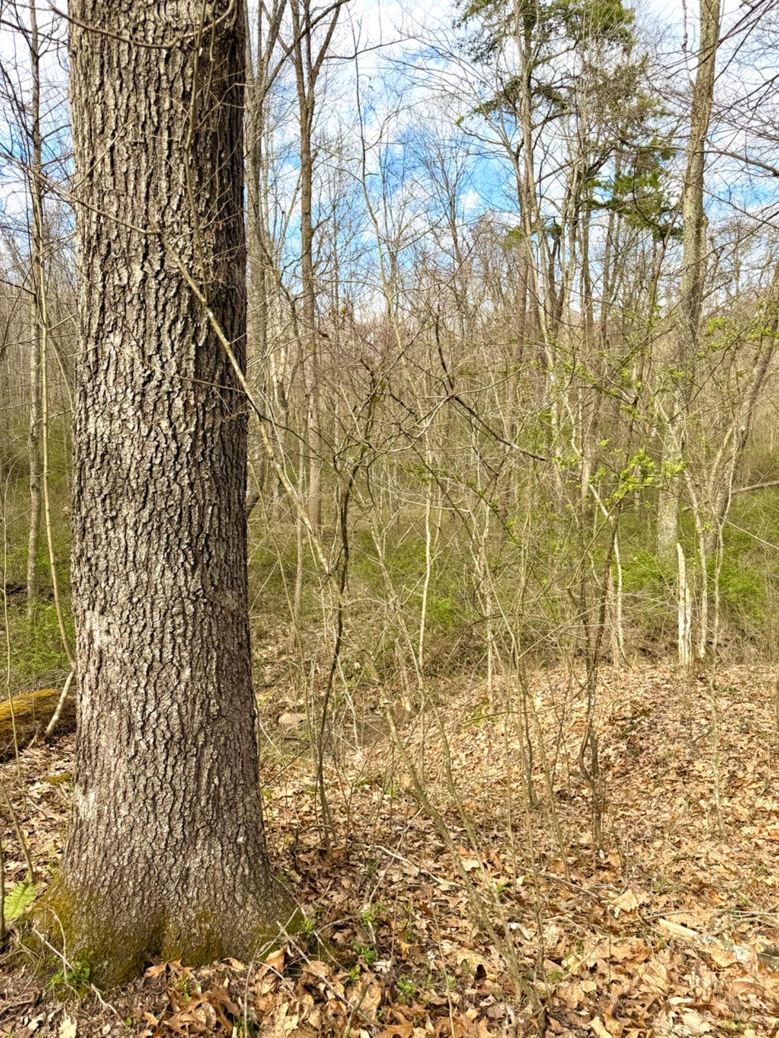 0 Fyffe Hollow Road Chillicothe, OH 45601 - Photo 8 of 96