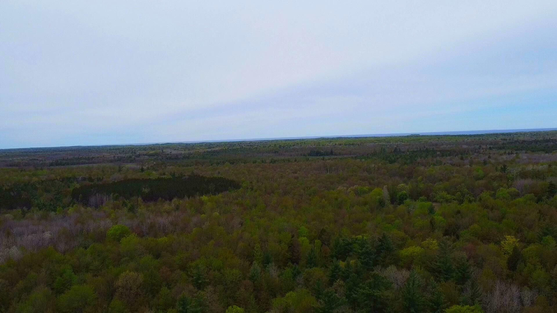 2187 Koenig Road Manistee, MI 49660 - Photo 16 of 20 2187 Koenig Rd - frame at 0m0s