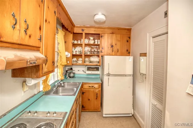 a view of a yard with plants and a tree