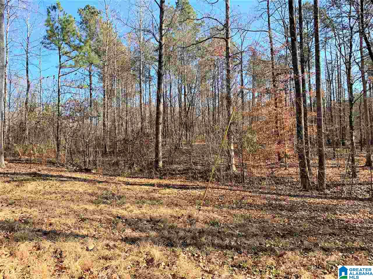 336 County Road 910 Delta, AL 36258 - Photo 6 of 29