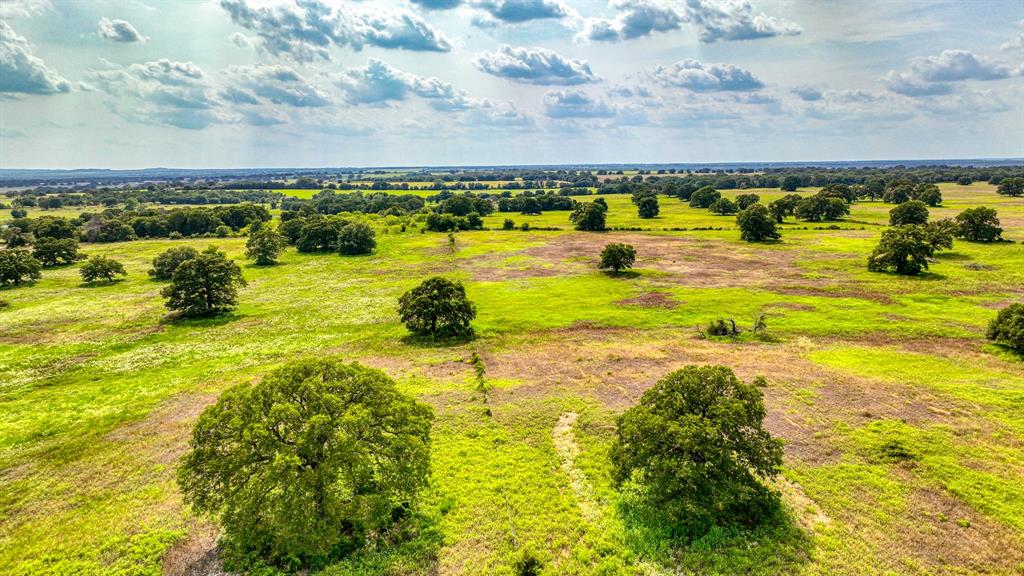 11500 Bowden Road Lipan, TX 76462 - Photo 14 of 32 Aerial view with a rural view