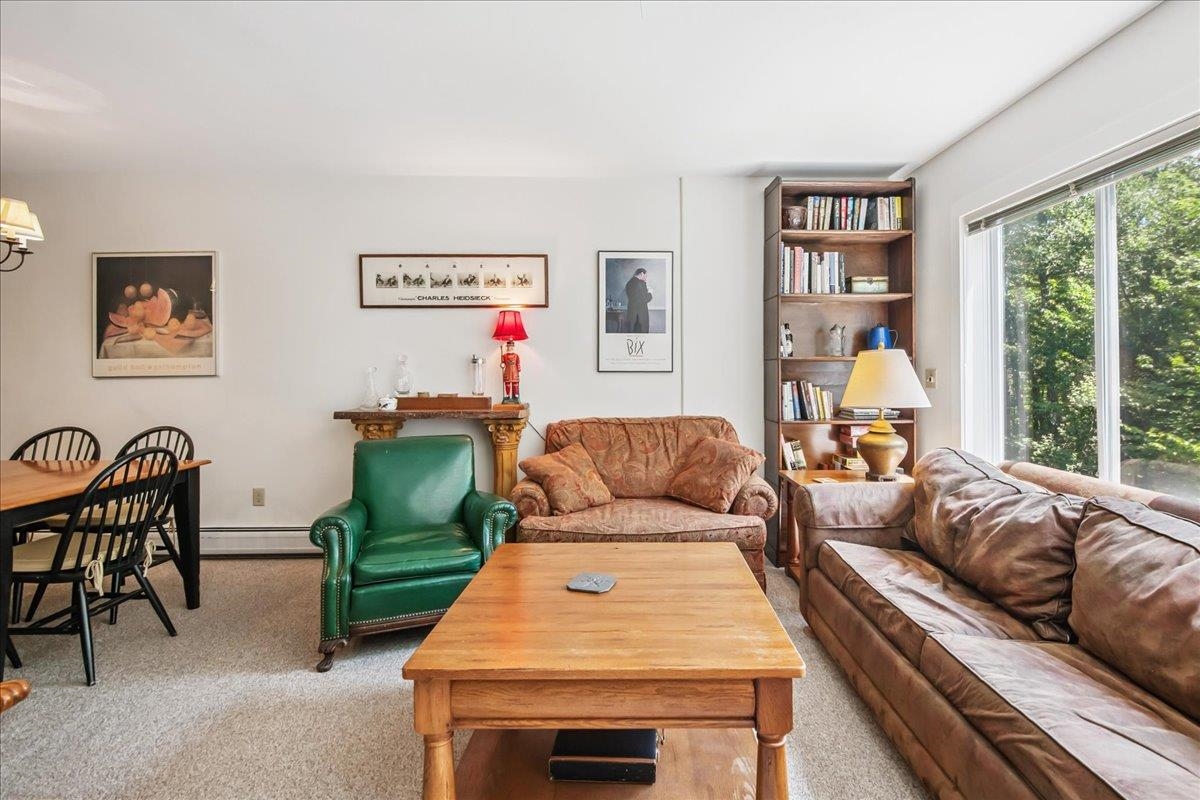 206 Stoney Path Road, Unit 602 Jay, VT 05859 - Photo 10 of 36