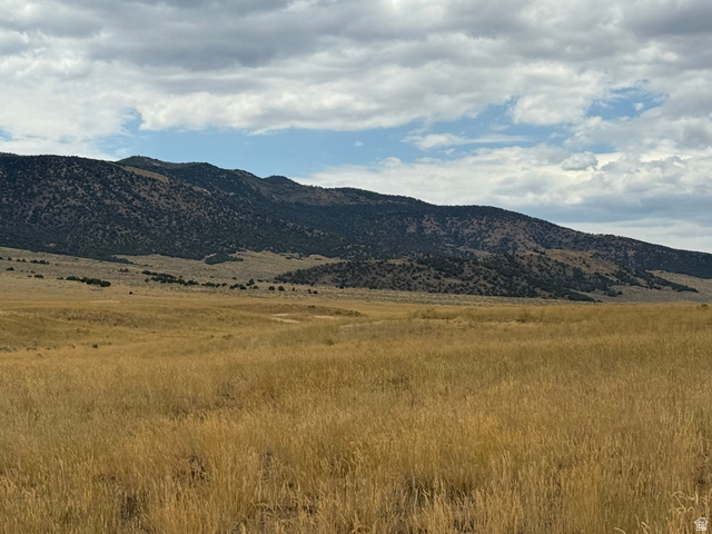 17 Old Dam Road, Unit 17 Levan, UT 84639 - Photo 6 of 7