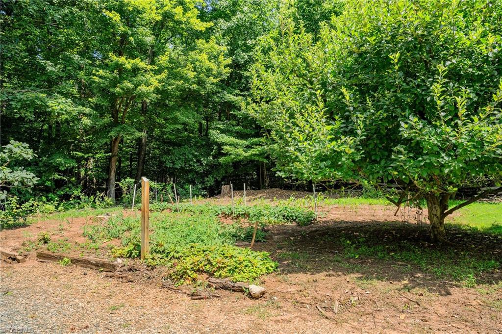 2406 River Run Road Browns Summit, NC 27214 - Photo 8 of 50 Gallery Image 8