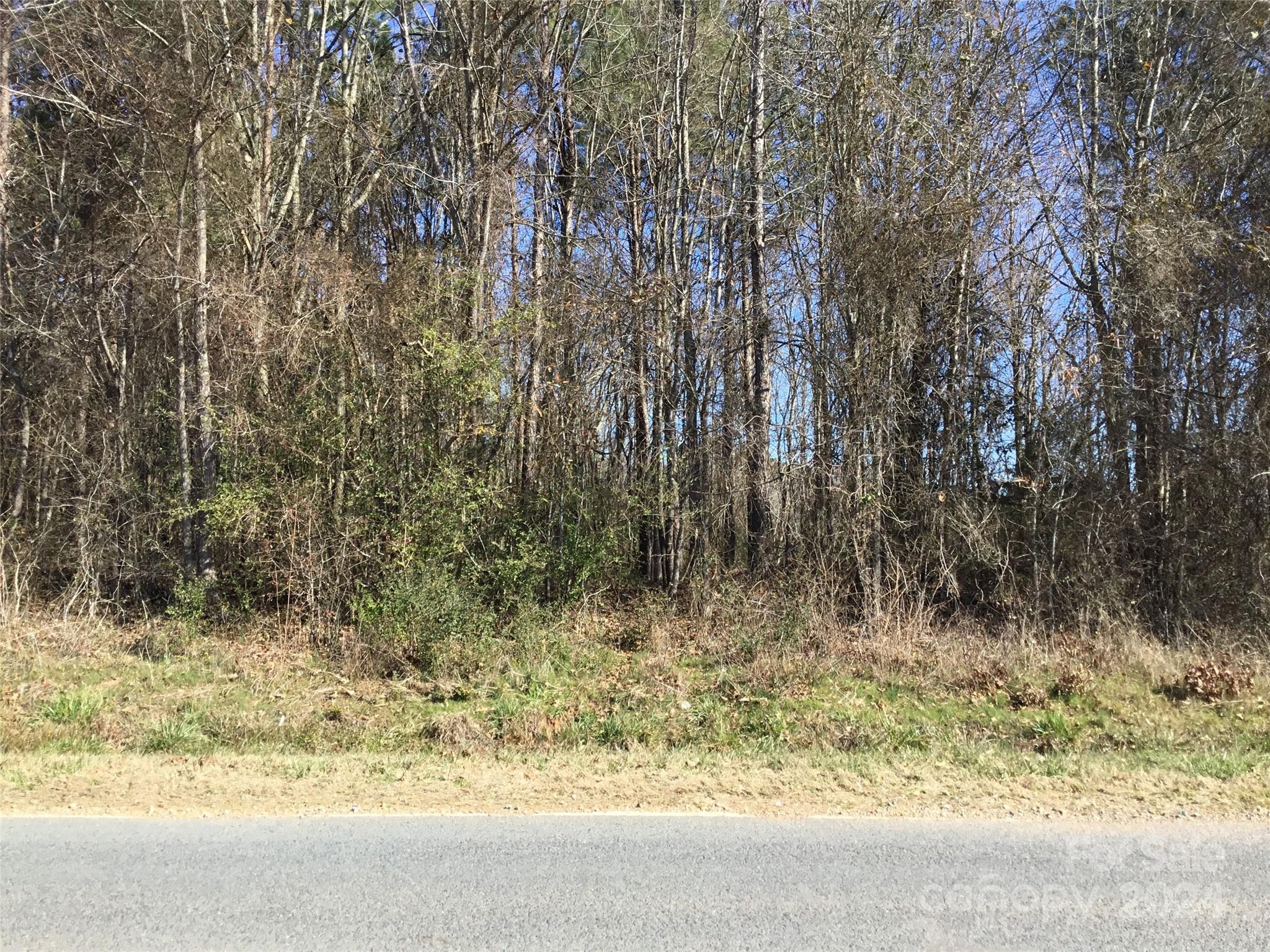 0 Hasty Road Peachland, NC 28133 - Photo 3 of 3