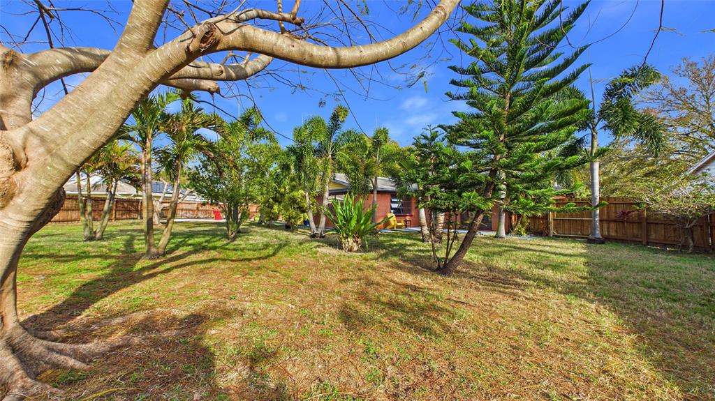 3849 Edgemont Drive New Port Richey, FL 34652 - Photo 40 of 43 a view of swimming pool with a yard