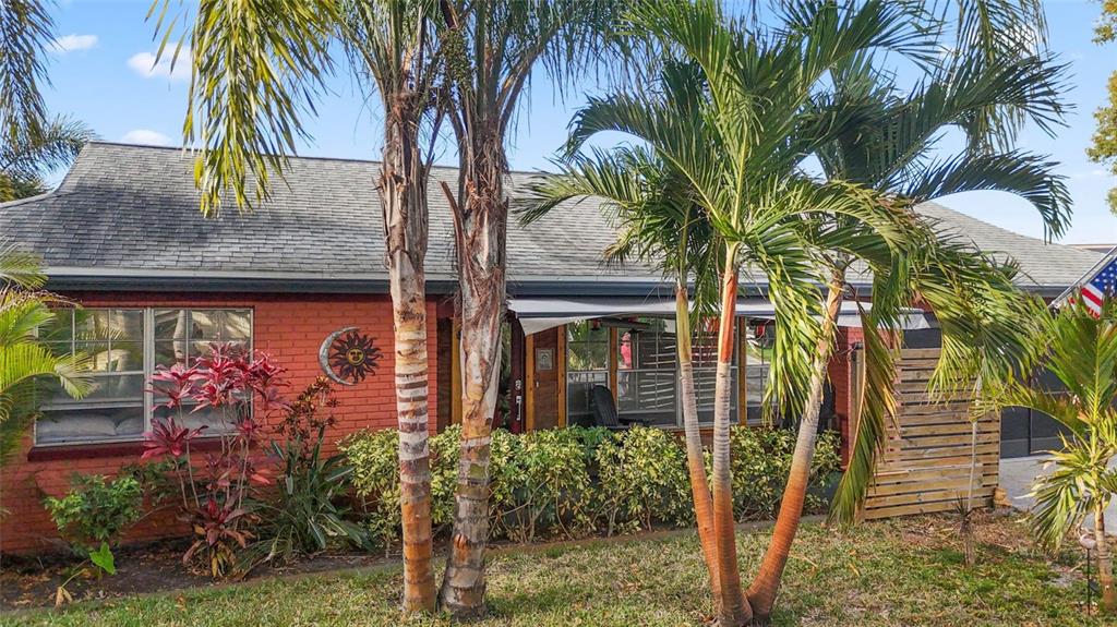 3849 Edgemont Drive New Port Richey, FL 34652 - Photo 4 of 43 a front view of a house with a tree