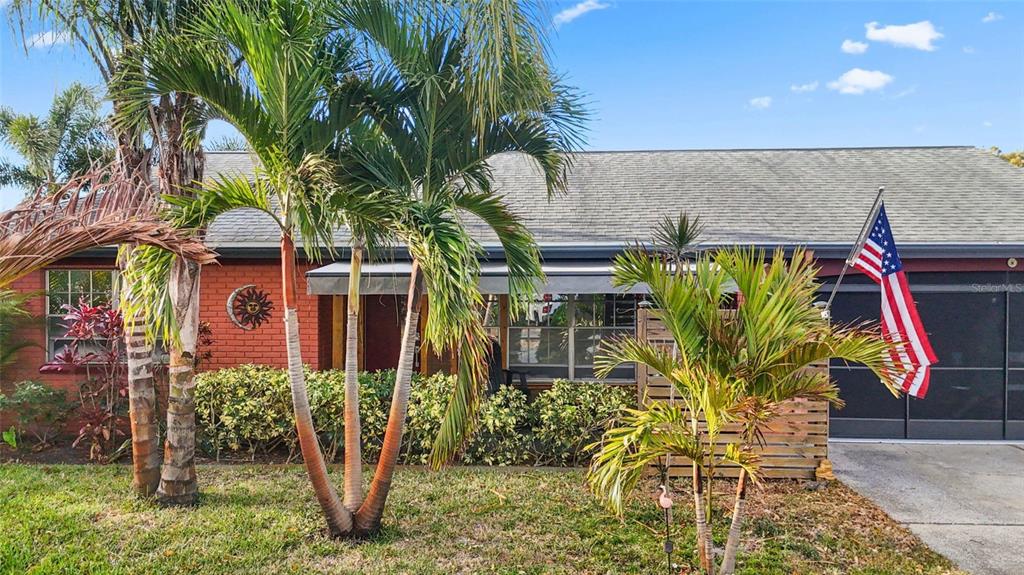 3849 Edgemont Drive New Port Richey, FL 34652 - Photo 5 of 43 a view of a chairs and table in backyard