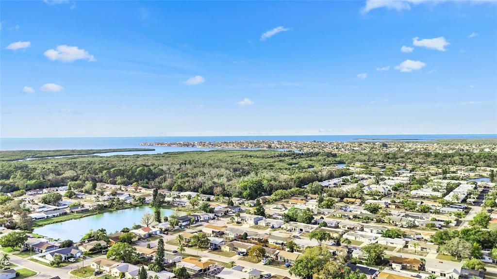 3849 Edgemont Drive New Port Richey, FL 34652 - Photo 7 of 43 a view of a city