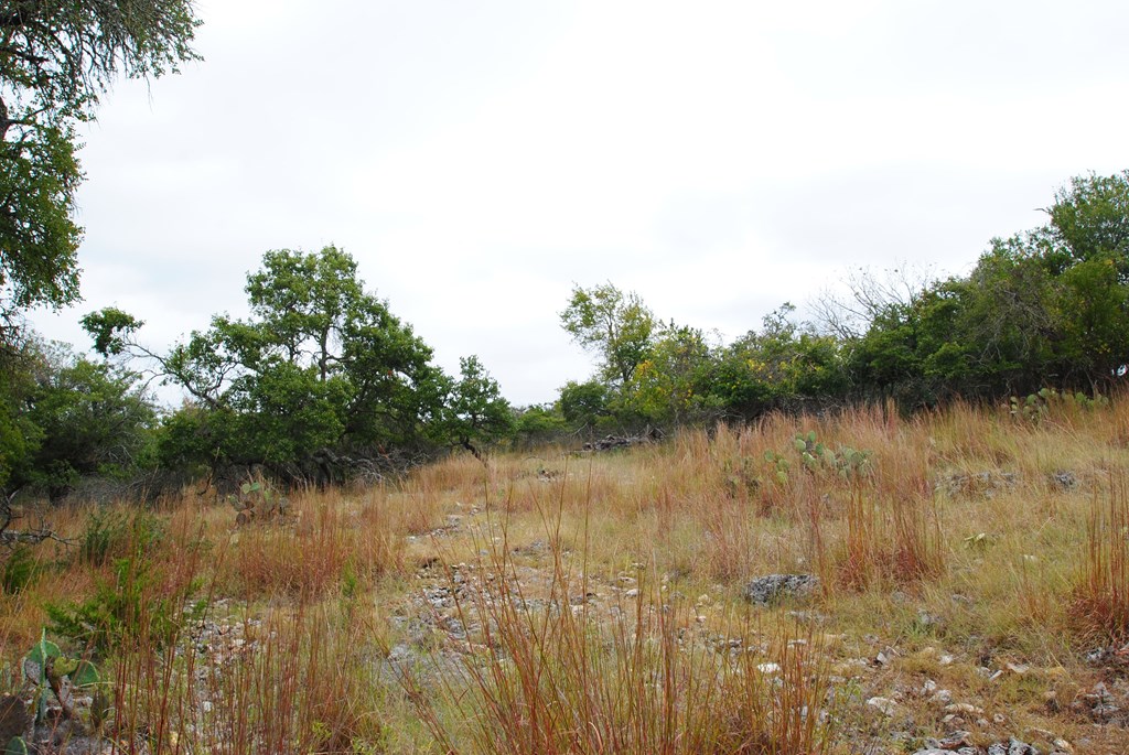 0 Reeh Road Fredericksburg, TX 78624 - Photo 9 of 19 Gallery Image 9