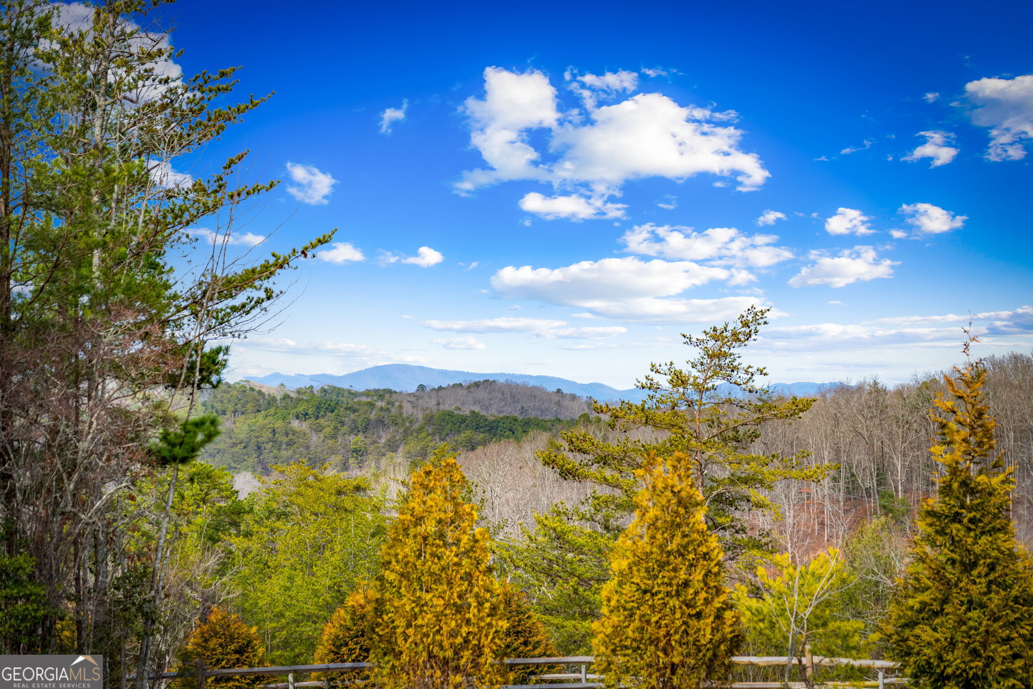 360 Hope Drive Blue Ridge, GA 30513 - Photo 58 of 89