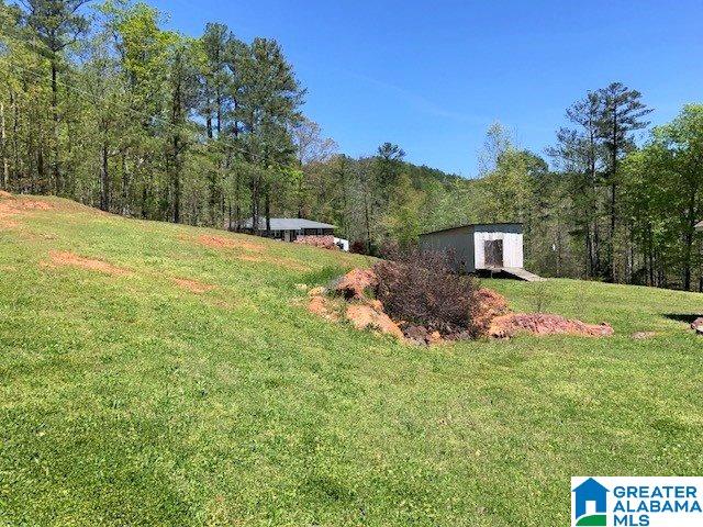 21 Evans Road Piedmont, AL 36272 - Photo 21 of 22